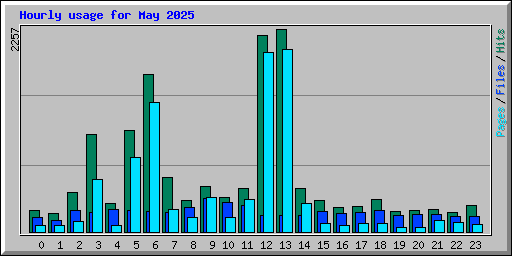 Hourly usage for May 2025